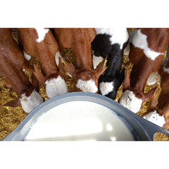 Milk Bar kalverdrinkbak met 10 spenen - Easy Lock haken - 60 liter