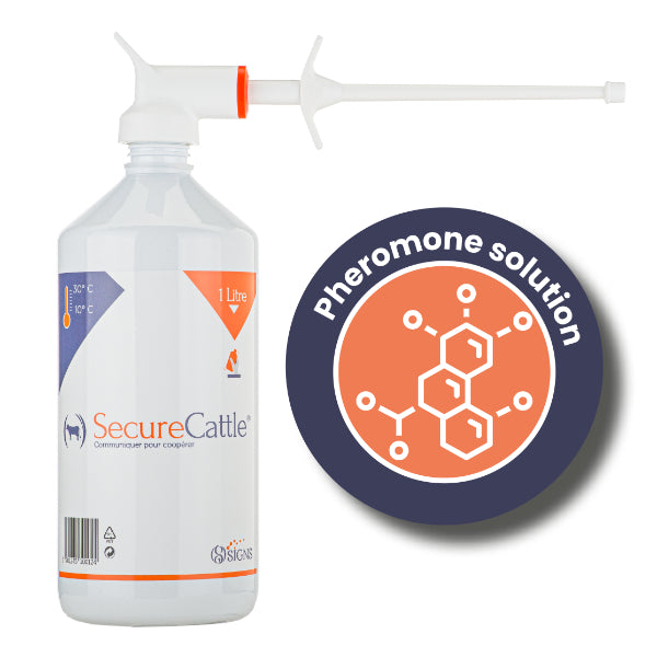 SecureCattle - stressverminderend feromoon - 1000 ml
