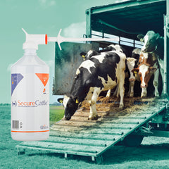 SecureCattle - stressverminderend feromoon - 1000 ml