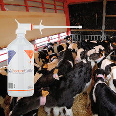 SecureCattle - stressverminderend feromoon - 1000 ml