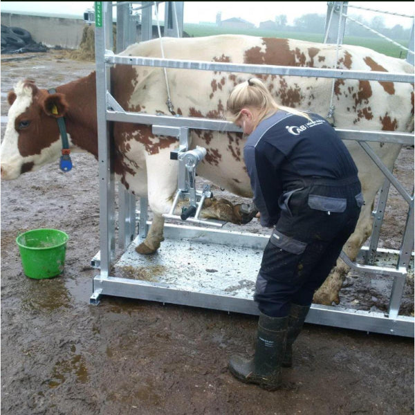 Klauwbekapbox Henken type L