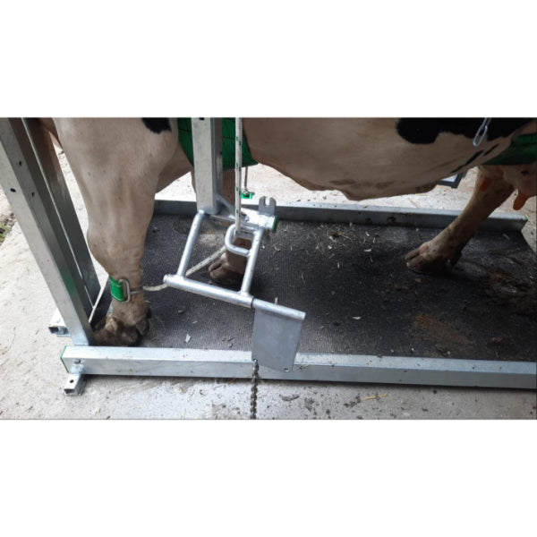 Klauwbekapbox Henken type L Profi