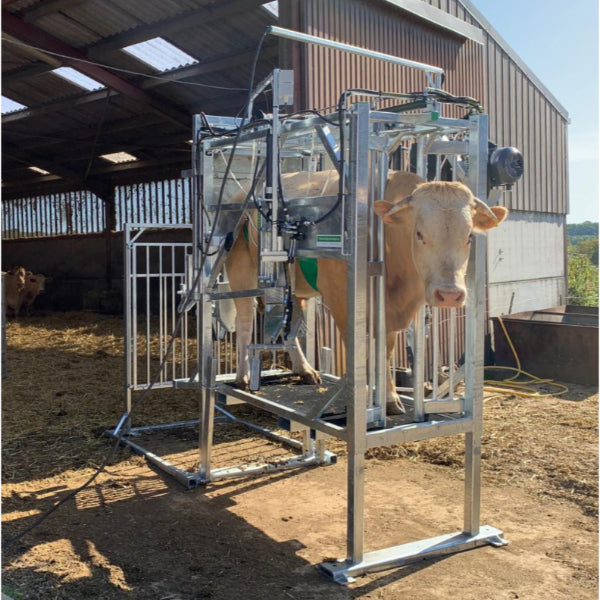 Klauwbekapbox Henken type H Breed