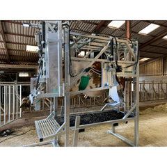 Klauwbekapbox Henken type H Breed