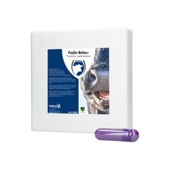Phosphorus Bolus+ - pour démarrage difficile - 12 pièces